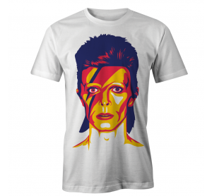 Bowie Ziggy Stardust